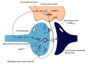 Комплекс для восстановления ГАМК системы фото